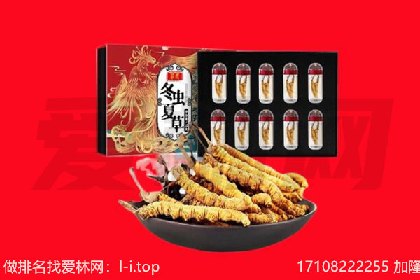 榆阳区回收虫草.jpg
